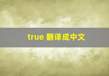 true 翻译成中文